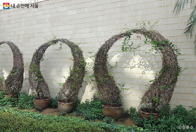 서울식물원 온실의 포토존