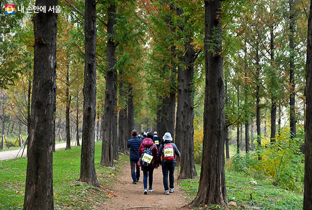 2019 서울트레킹이 4월부터 10월까지 서울의 명소 5곳에서 진행된다. 사진은 하늘공원