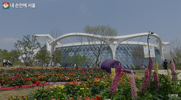 서울의 핫 플레이스로 입소문을 타고 있는 서울식물원, 2019년 5월 정식 개장했다.