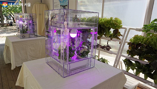 햇빛 없이 약 20여 개의 센서와 작동기를 통해 식물을 재배할 수 있는 식량도시의 퍼스널 푸드 컴퓨터