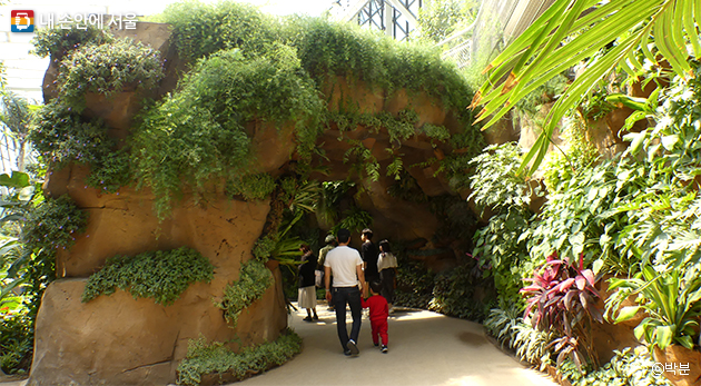 동굴을 연상시키는 서울식물원의 암석터널