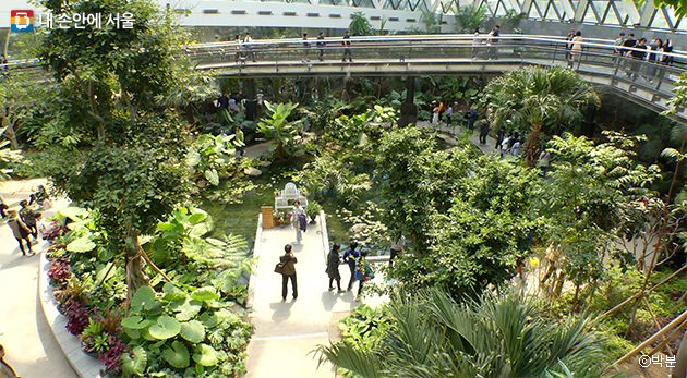 서울식물원에서는 세계 각국 12개 도시의 식물을 만나볼 수 있다