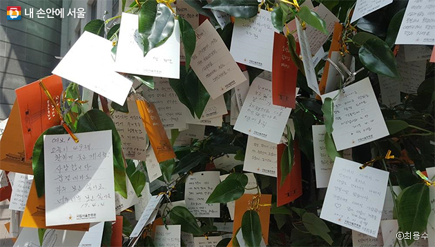 국립서울현충원 충혼당 로비에 있는 ‘기억의 나무’, 유족들의 그리움과 시민들의 애절한 편지가 달려 있다.