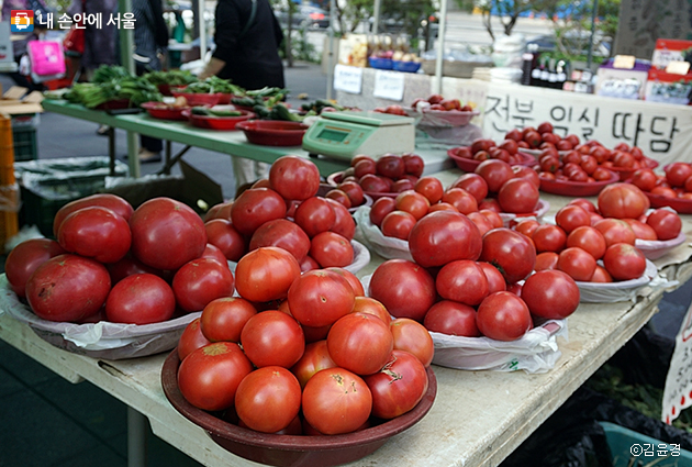 ‘농부의 시장’에서 만난 토마토. 탐스러운 토마토가 눈길을 끈다