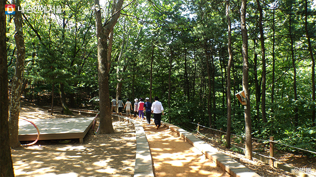 산림치유프로그램에 참가한 시민들이 맨발로 황톳길을 걷고 있다