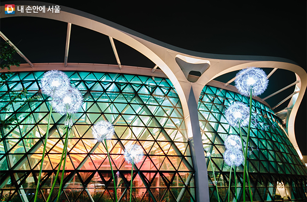 서울식물원이 온실 야간 특별관람 행사를 연다