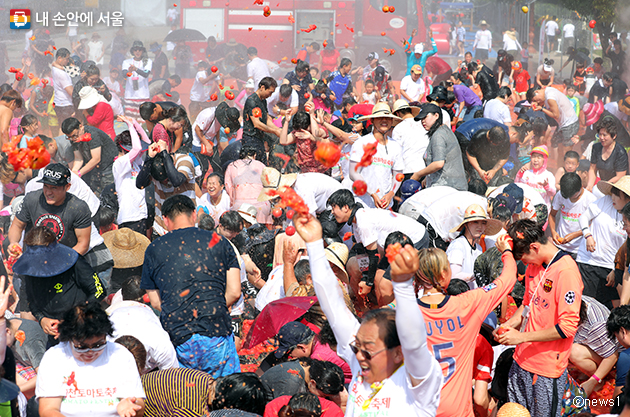 제17회 화천 토마토 축제가 8월 1일부터 8월 4일까지 강원도 화천군 사내면 문화마을 일대에서 열린다