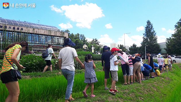 서울시농업기술센터 ‘여름철 어린이자연학교’