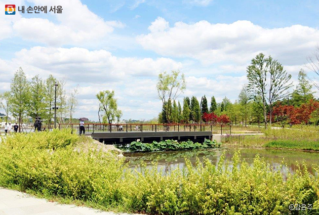 서울식물원의 잘 가꿔진 주제정원 모습. 여름이 선사하는 싱그러움을 만끽할 수 있다