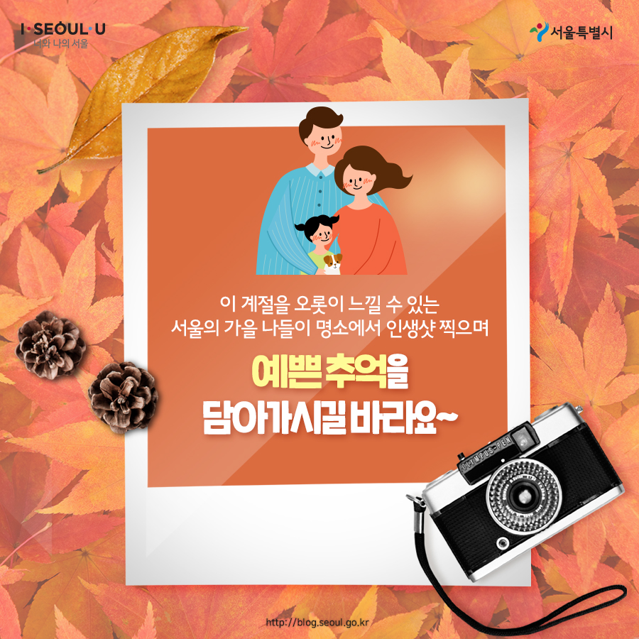 # 이 계절을 오롯이 느낄 수 있는 서울의 가을 나들이 명소에서 인생샷 찍으며 예쁜 추억을 담아가시길 바라요