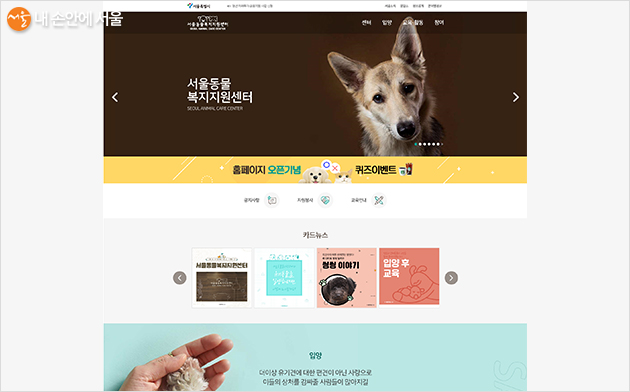 서울동물복지지원센터 홈페이지