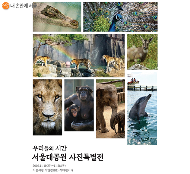 서울대공원 사진특별전 ‘우리들의 시간’ 포스터