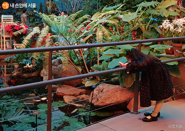 서울식물원 온실을 관람하는 어린이