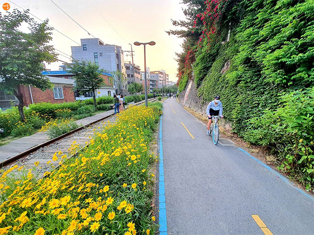 철길과 꽃들 사이로 자전거 산책을 즐기는 경춘선 숲길