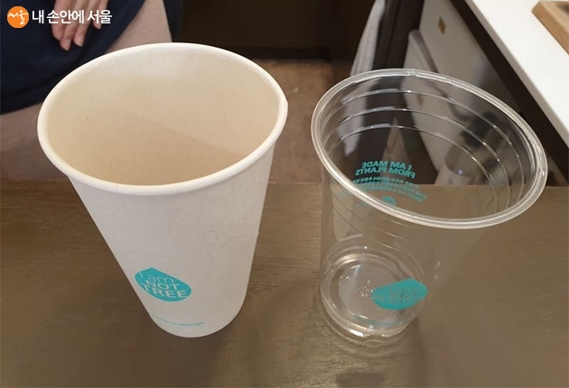 생분해성 소재로 만든 친환경 컵