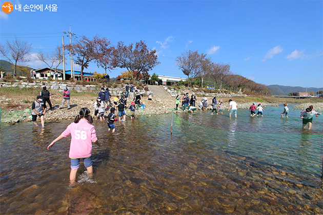 마을 앞 하천에서 실시한 물고기 잡기 체험(숭어잡기)에 참여 중인 서울시민들