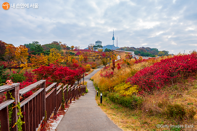 서울시는 11월 14일~15일 ‘2020 서울 걷자 페스티벌’ 행사를 진행한다.