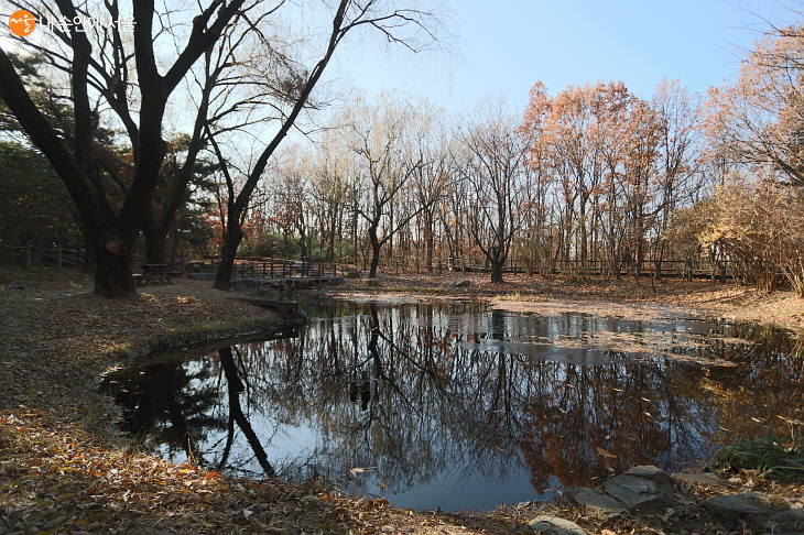 운치가 뛰어난 자연생태숲에는 수목들의 반영이 아름다운 생태연못이 있다.