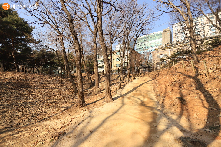 강남구 도심 한복판, 빌딩 사이에 둘러싸인 선릉 둘레길 