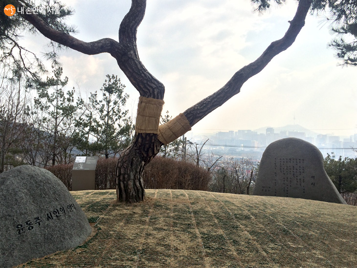 서울이 내려다보이는 시인의 언덕 