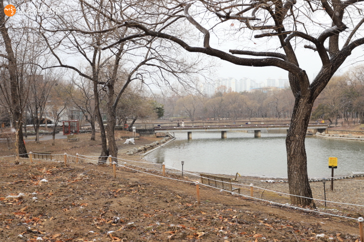 한적한 설중 운치가 돋보이는 서울숲 호수