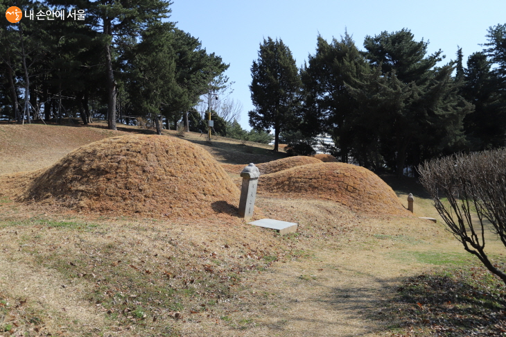 사육신 묘역 왼쪽 언덕에 모셔진 하위지,성삼문,유성원 봉분 3기 ©염승화