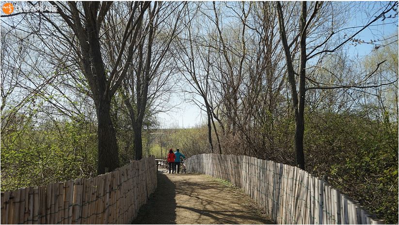 한적한 시골길을 걷는 듯한 강서습지생태공원 