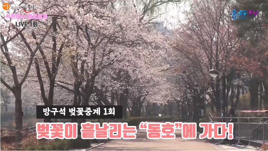 유튜브 채널 '송파TV' 하늘에서 바라본 석촌호수 동호 전경