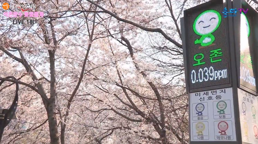 유튜브 채널 '송파TV' 석촌호수 벚꽃중계 중 미세먼지 신호등을 비추는 화면 