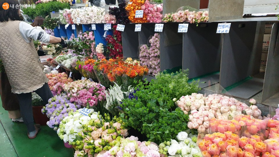 고속터미널 꽃 도매시장에는 봄을 알리는 화사한 꽃들로 가득하다