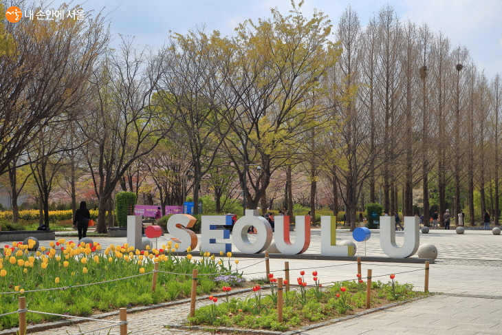 봄빛 가득한 서울숲 