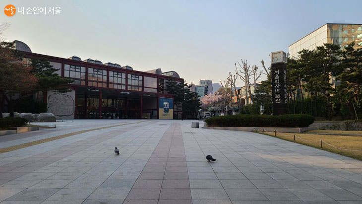 코로나19로 인하여 휴관중인 서울역사박물관의 앞마당에는 방문객은 없었고 비둘기 2마리만 있었다