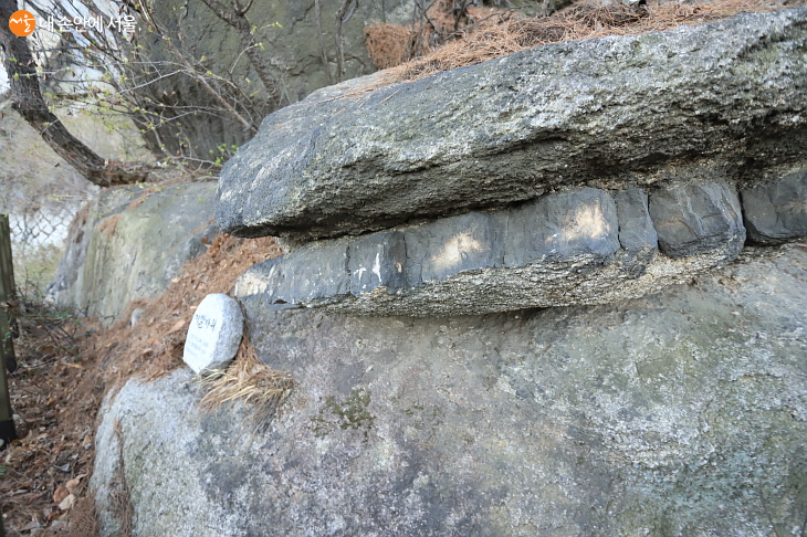 숲길에서 만난 독특한 모양의 이빨 바위 