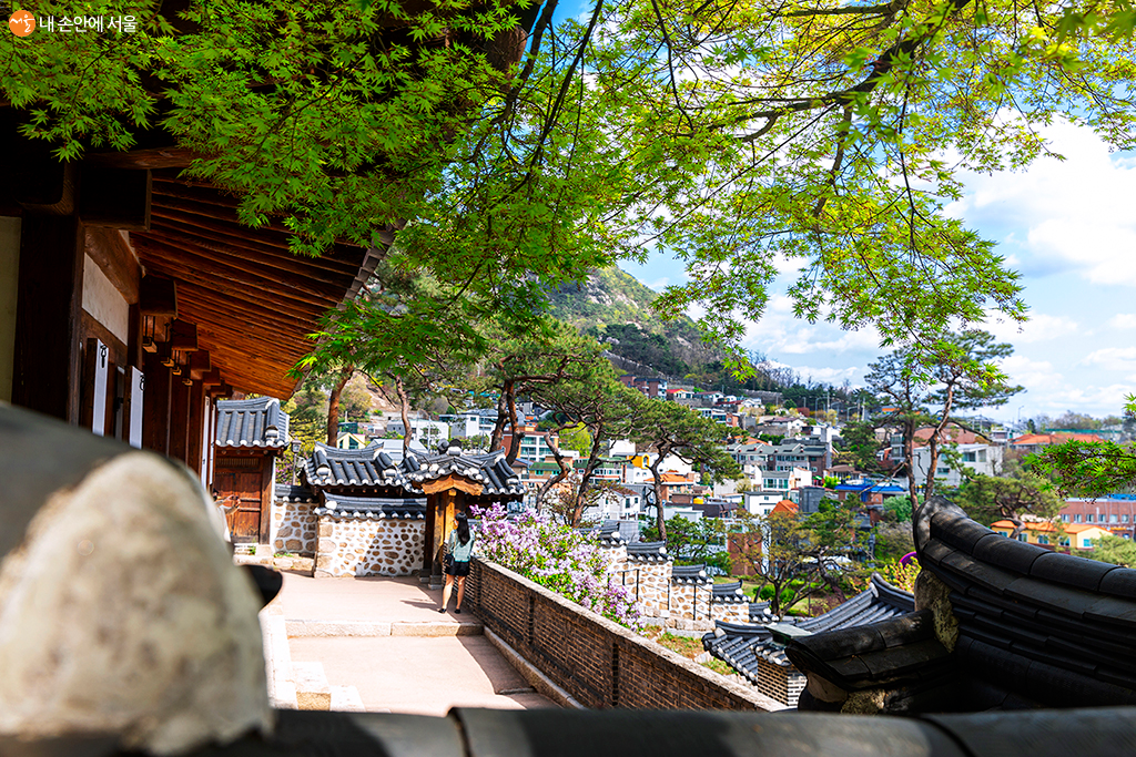 파란 하늘과 연둣빛 잎사귀가 함께 어우러진 청명한 서울 풍경
