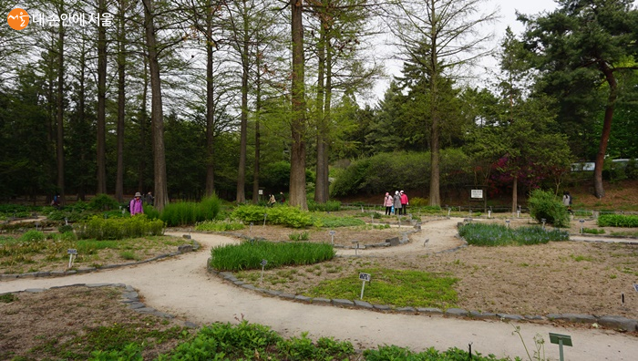 산책뿐 아니라 숲 배움터가 되어주는 홍릉식물원 