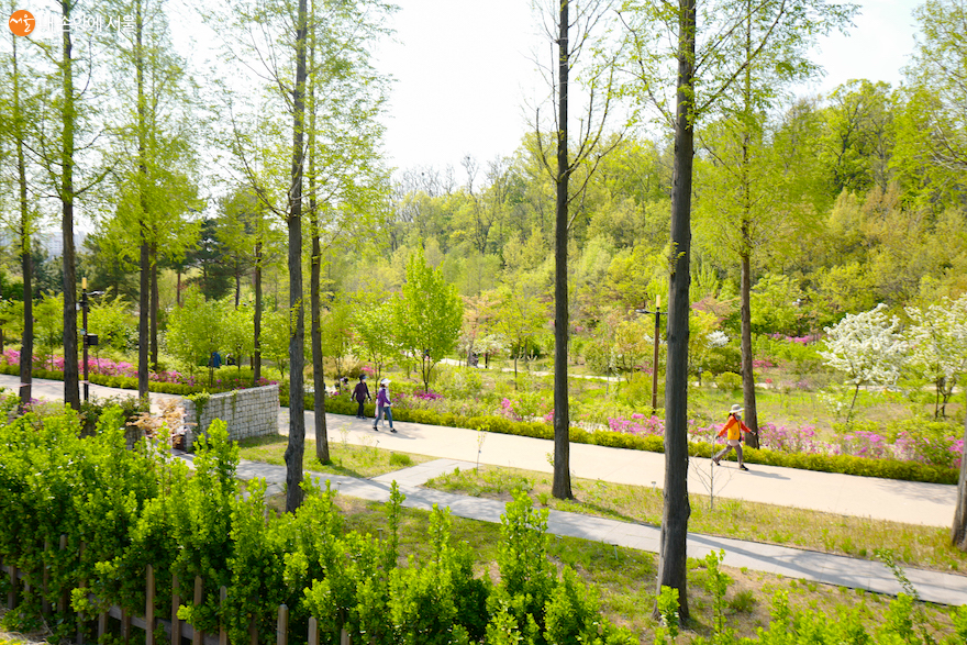 서울시 최초의 수목원 구로구 푸른수목원은 시민들에게 도심 속 자연 풍경을 제공한다