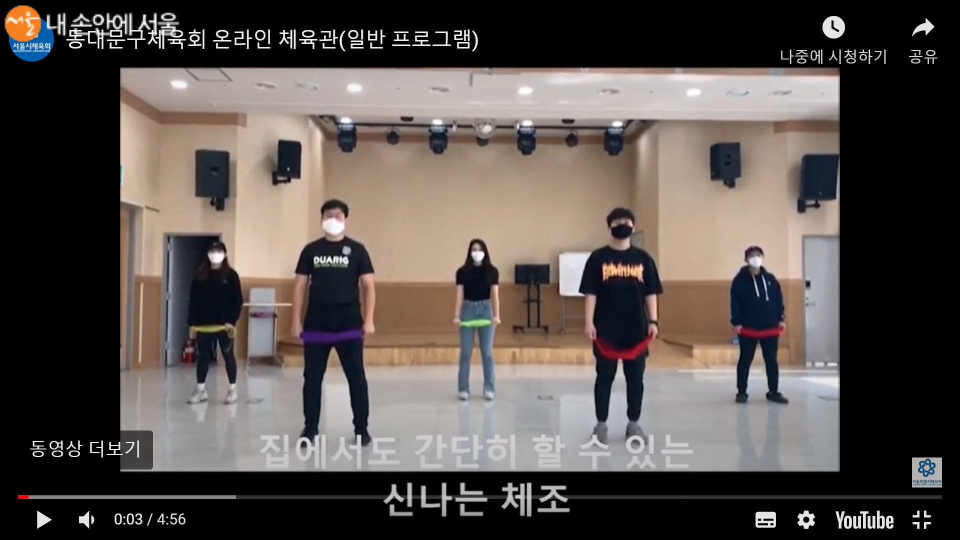 서울시 체육회에서 제공하는 온라인 체육관 체조 영상