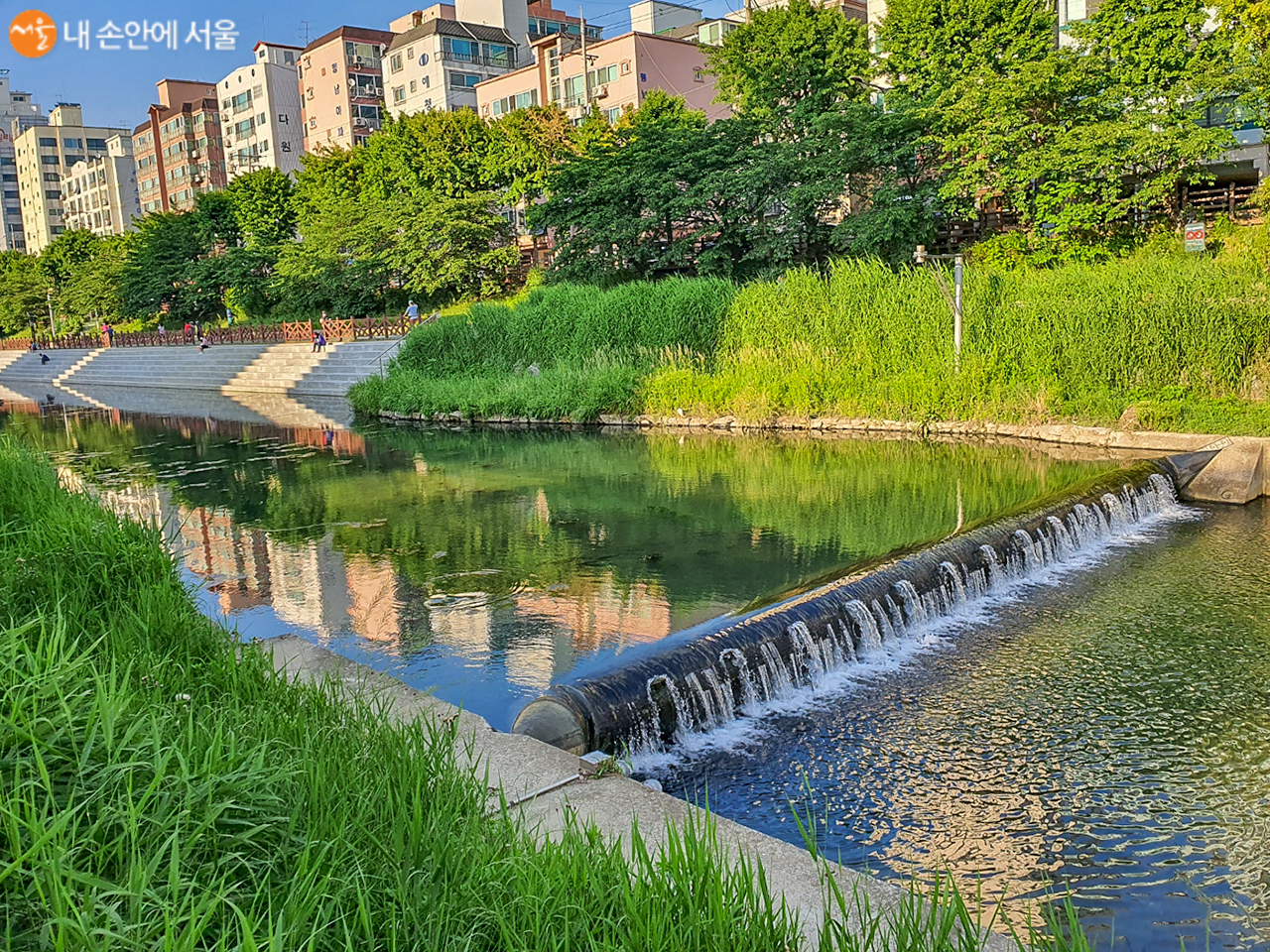 불광천의 하천이 흘러내리는 모습