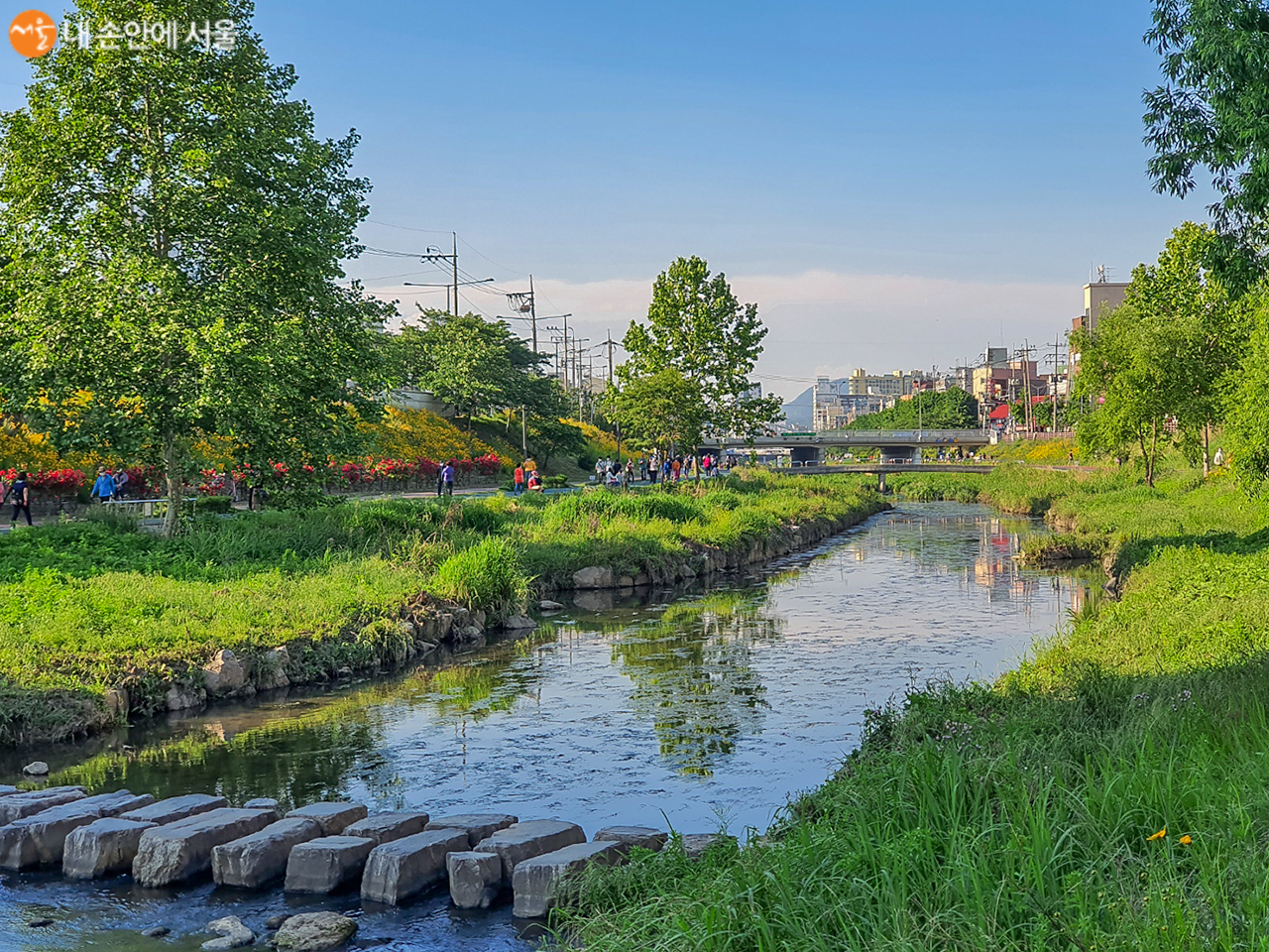 산책하는 시민들이 불광천의 자연을 만끽하고 있다