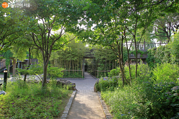 시간의 정원에서는 온전히 시간의 주인이 되는 느낌으로 산책을 할 수 있다.