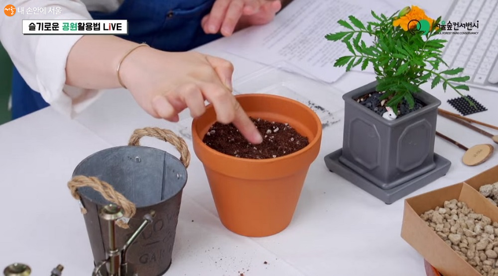 씨앗을 뿌릴 점을 만드는 '점뿌림' 방법을 시연하고 있다 ⓒ서울그린트러스트 유튜브