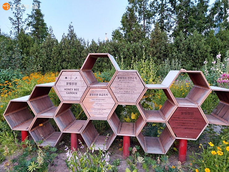 실제로 꿀벌이 살고 있는 꿀벌정원 