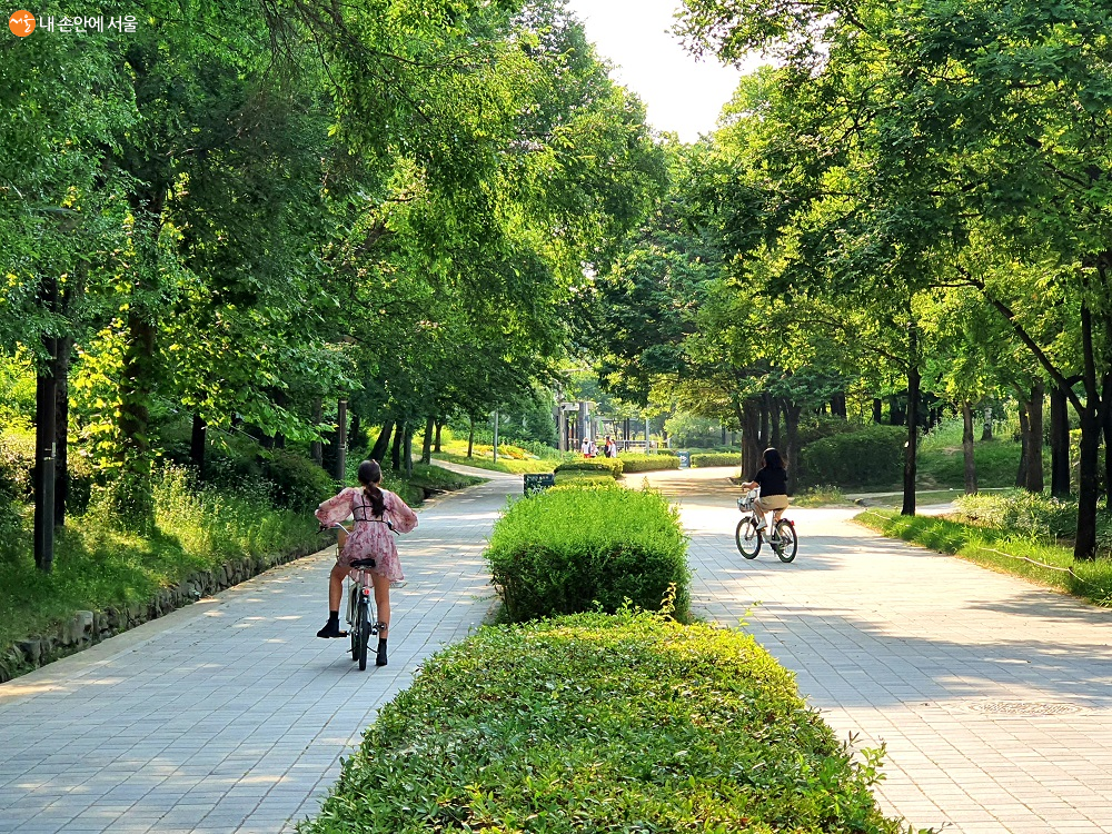 서울숲에서 자전거를 타며 즐거운 시간을 보내는 아이들