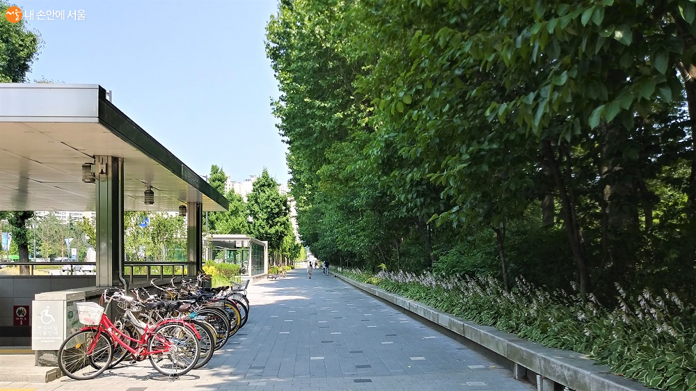 종합운동장 길 건너 아시아공원이 울창한 숲으로 둘러싸여 있다. 
