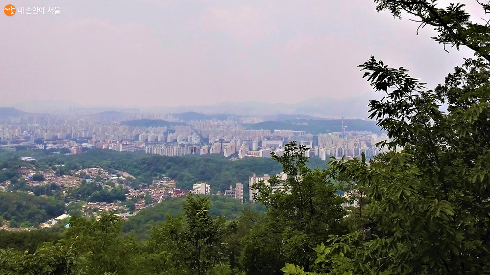 전망대에서 내려다 본 시내 전경 