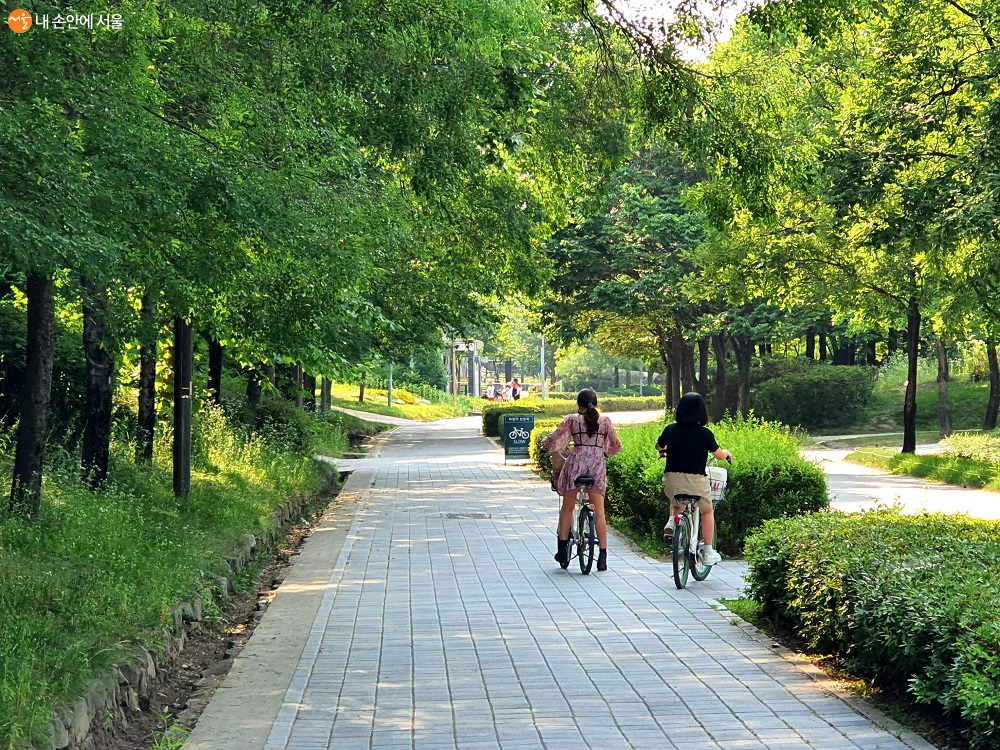 아름다운 서울숲공원이 유지되려면 시민의 손길이 필요하다