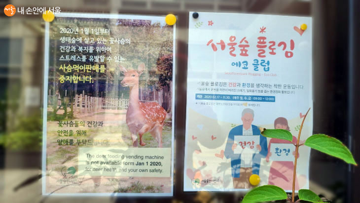 서울숲 '쓰담쓰담'은 달리기 운동을 하면서 쓰레기를 줍는 환경정화 운동인 플로깅(Plogging)의 우리말이다 