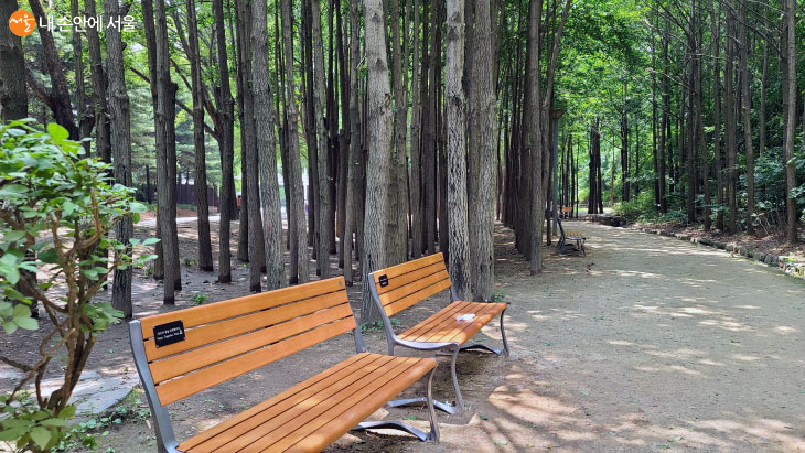 항상 깨끗한 서울숲을 만들기 위해서는 방문하는 시민들이 작은 쓰레기도 버리지 않아야 한다 