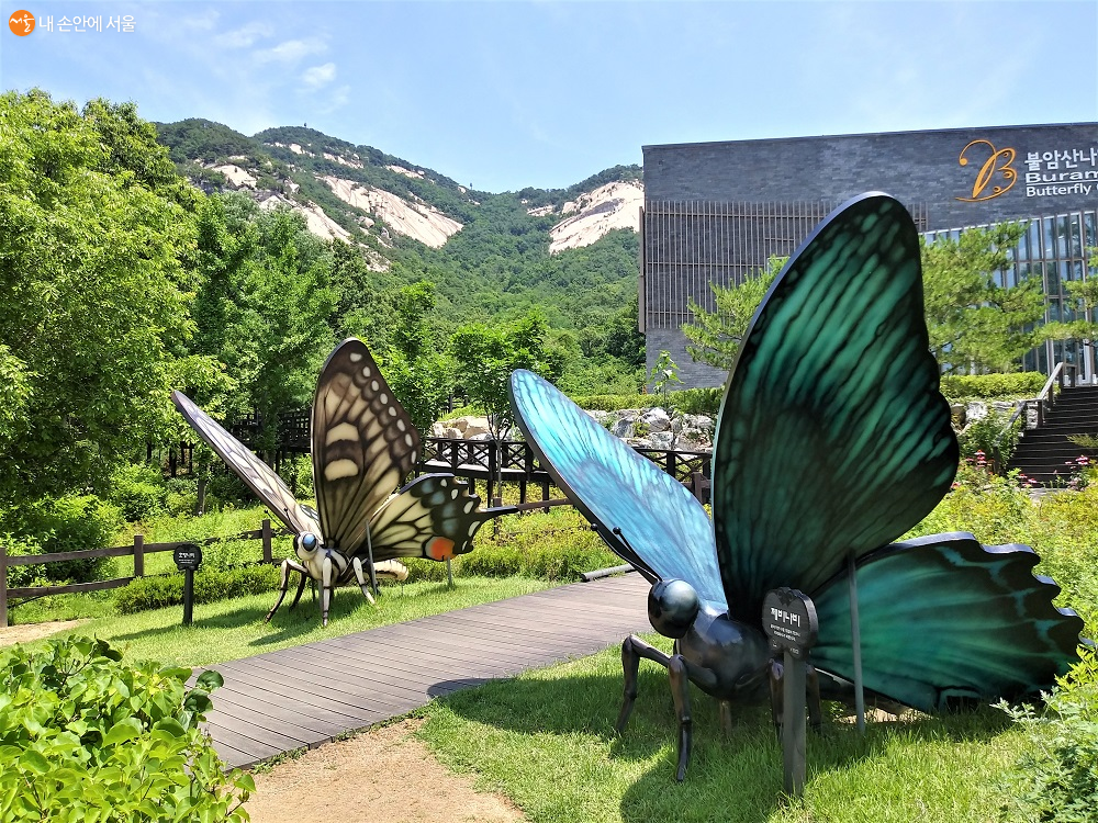 불암산 힐링타운 나비정원에 설치된 커다란 나비 모형 