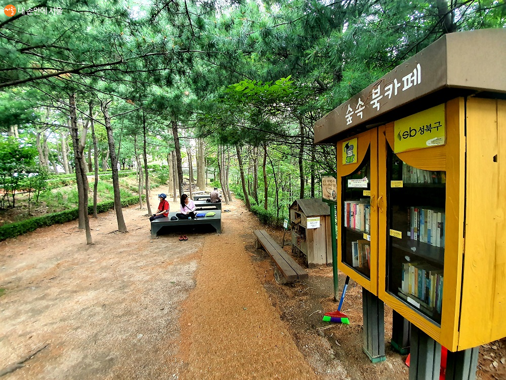 개운산 산마루 북카페는 숲속에서 책 읽기 좋다